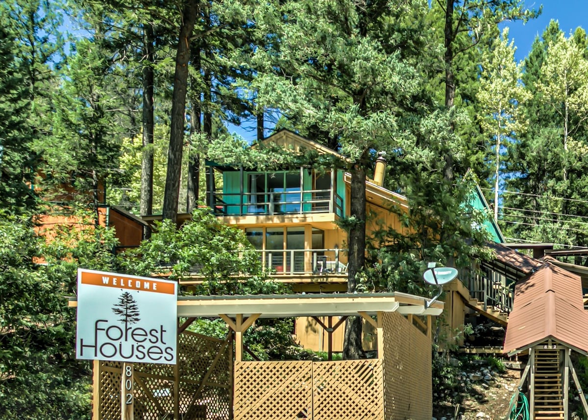 Forest Houses at Chautauqua