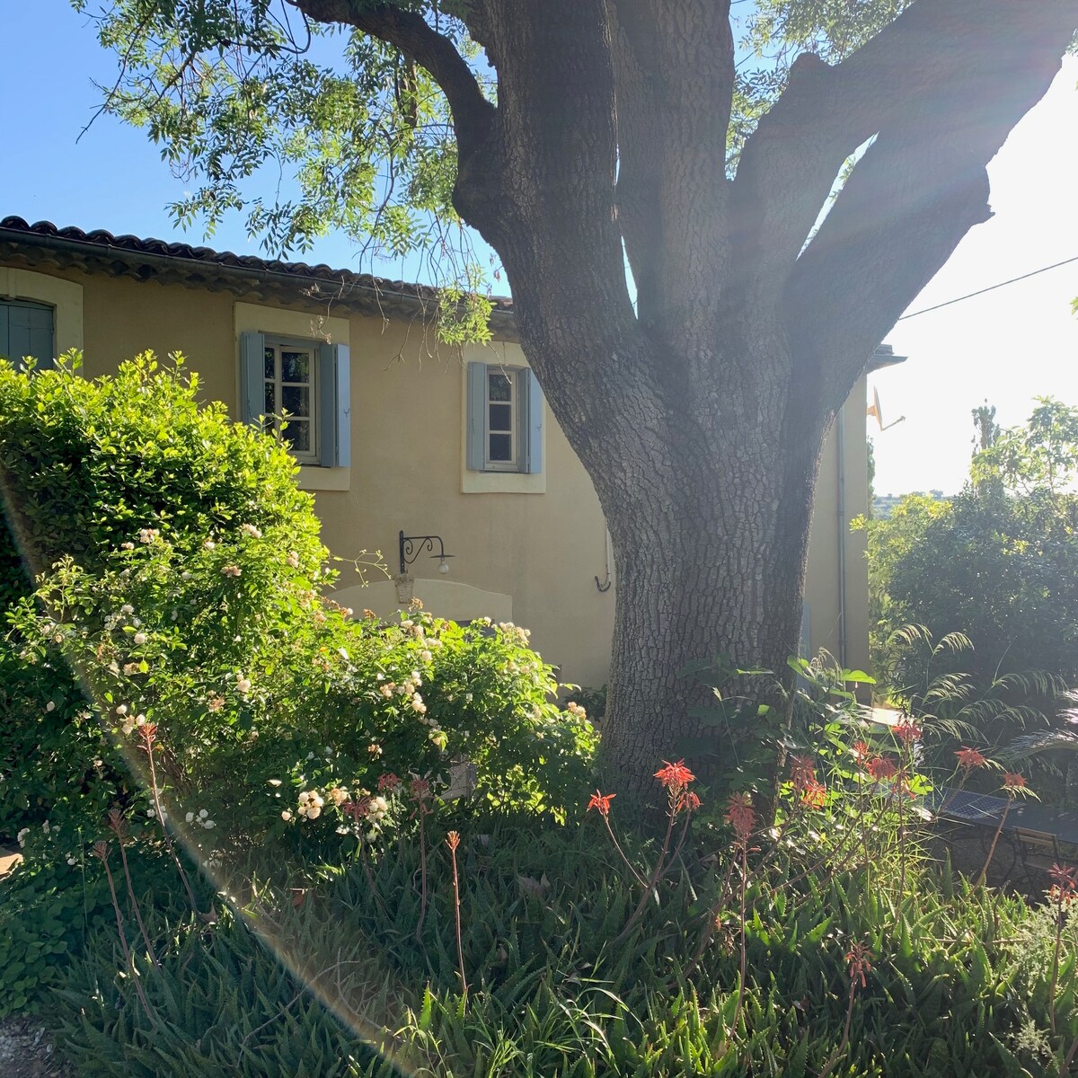 Dreamhouse, surrounded by its own vineyards