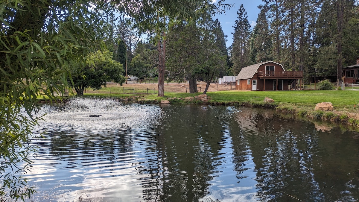 Serene Farmhouse with Pond & Forest View