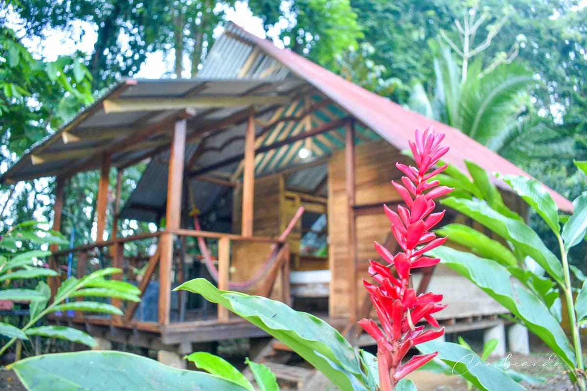 Cabaña Caribeña🌴, in PUNTA UVA 🌊