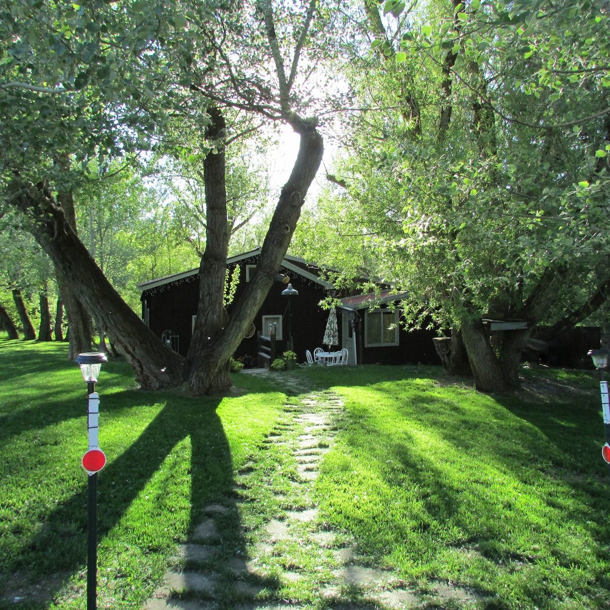 Colo Crooked House in the Trees * The Snow in Here!