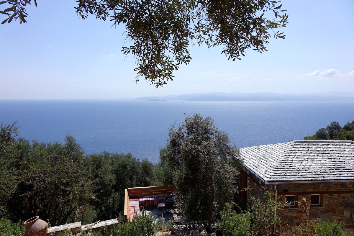 WILD OLIVE TREES house, Afeilianes Stone Houses