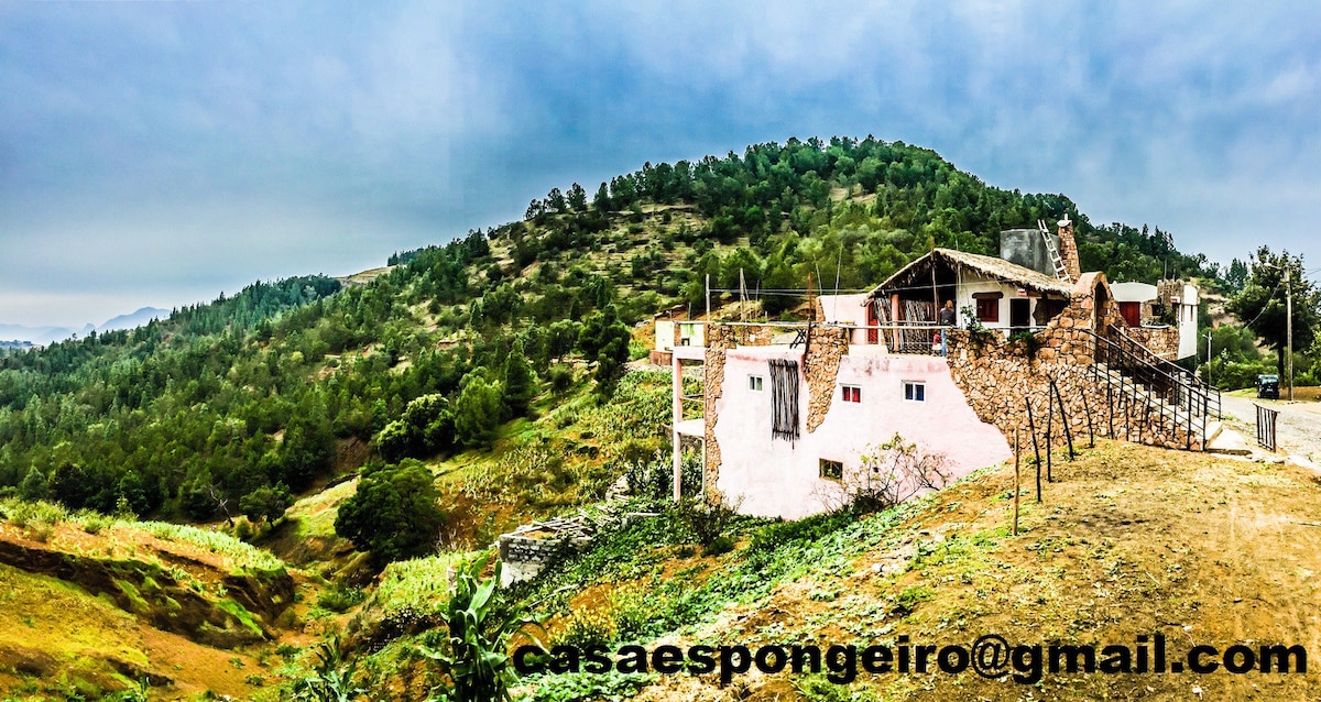 CASA ESPONGEIRO +山地自行车之旅