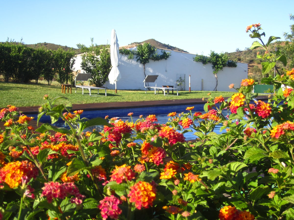 Osga 1 House (TaviraFarmHouse)