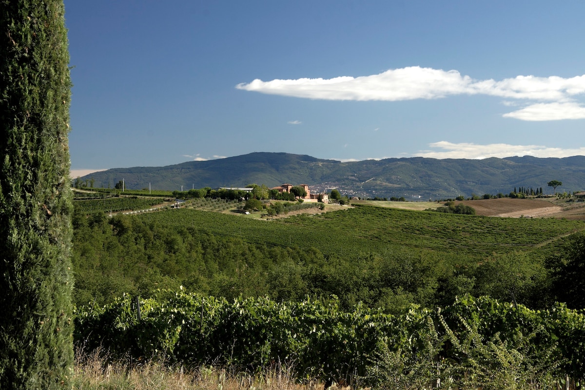 Winefarm Tuscany |带泳池的农舍| Casa Rosa