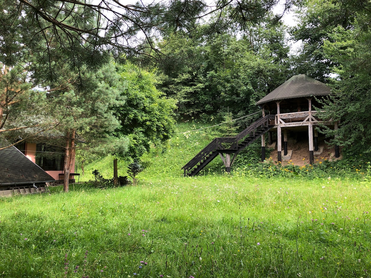 Spirit of Africa in the Heart of Bucovina