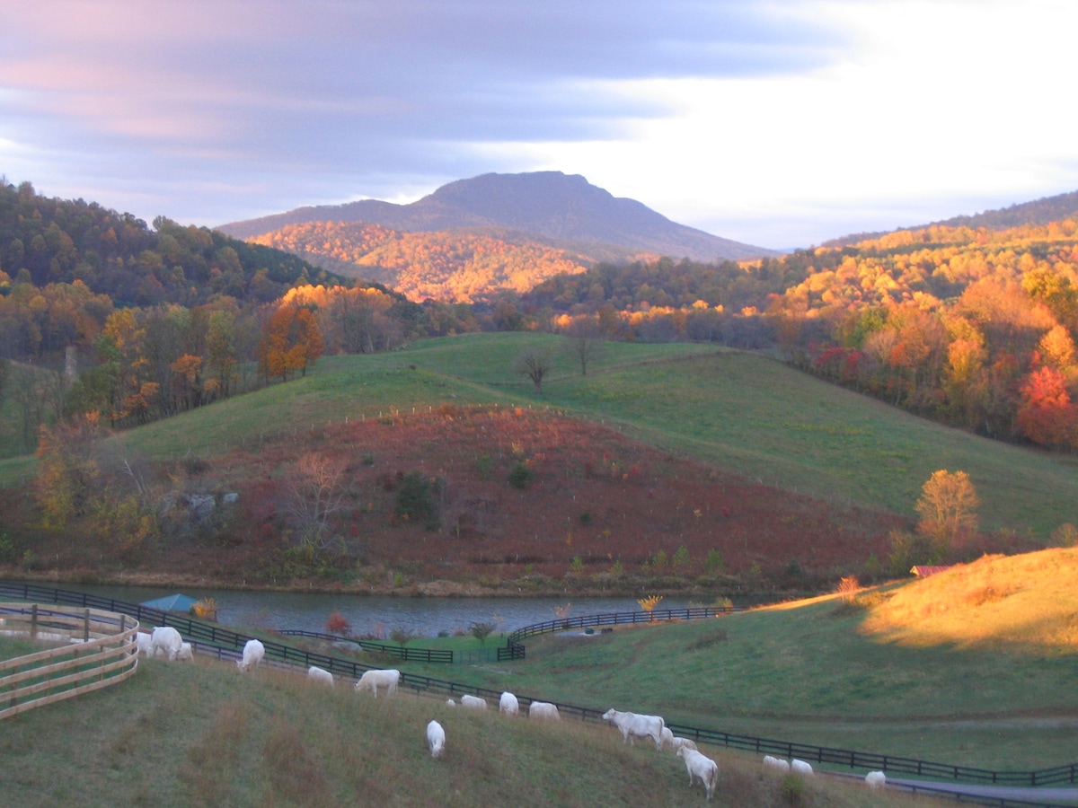 The Farmhouse at Cardinal Springs Farm