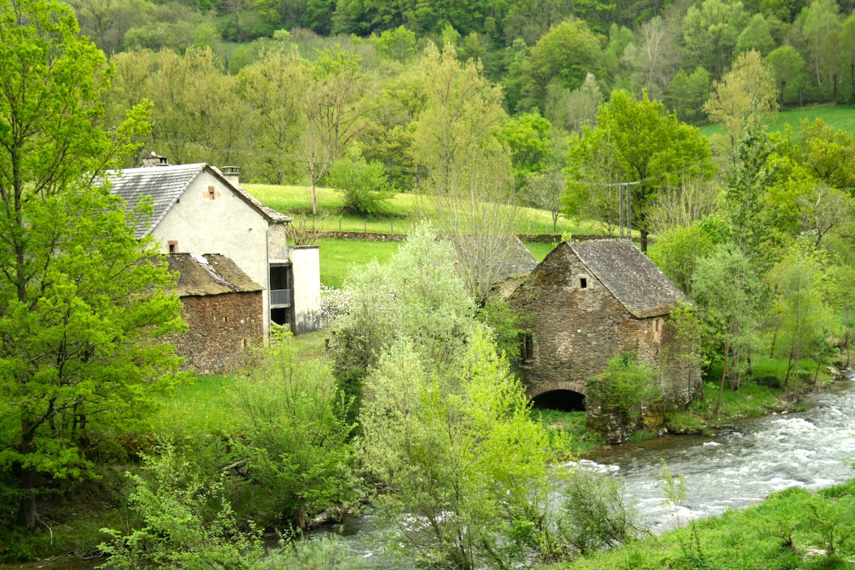 前Moulin de Chipole 6页