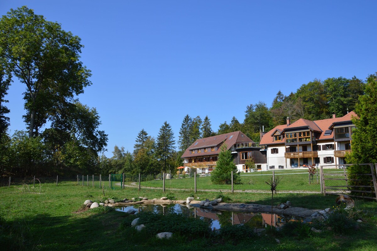 Apartment in the southern Black Forest