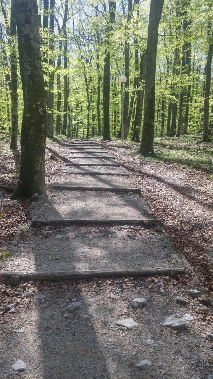 普利特维采湖（ PLITVICE LAKES ）家庭客房