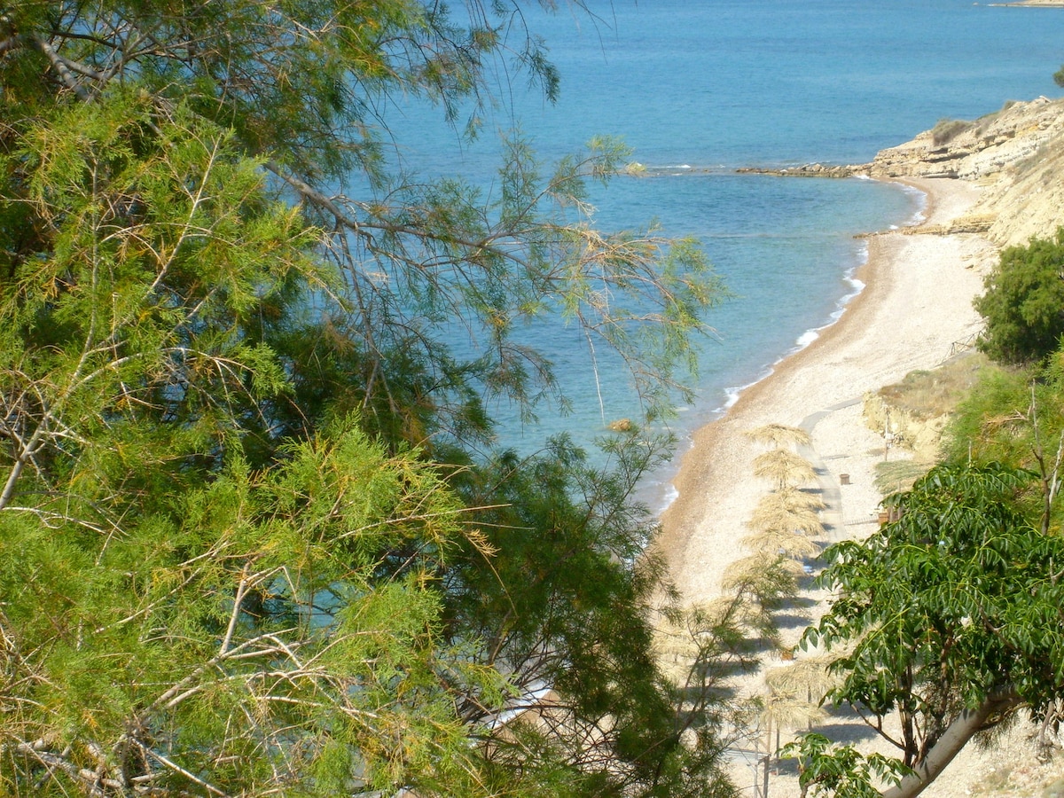 景色迷人的海滨度假屋