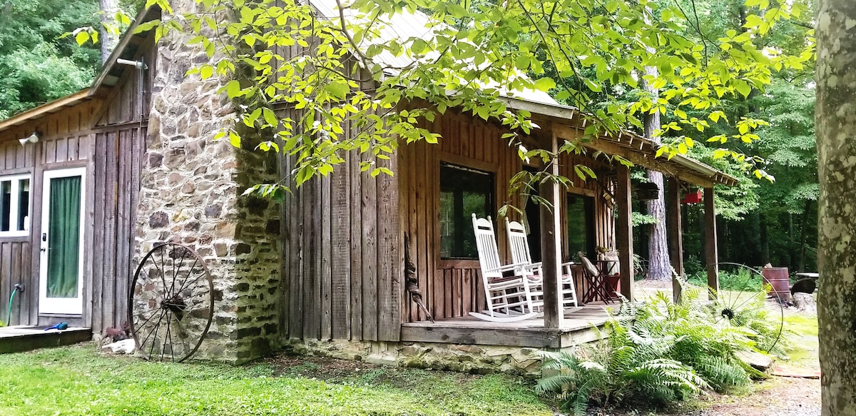 Tranquil cabin on Robbins Nest Pond