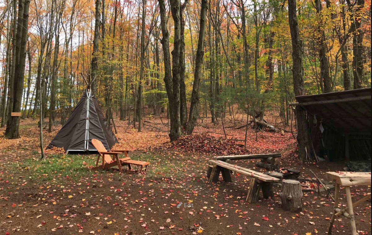 森林私人森林帐篷营地中的保护区 🏕🪵