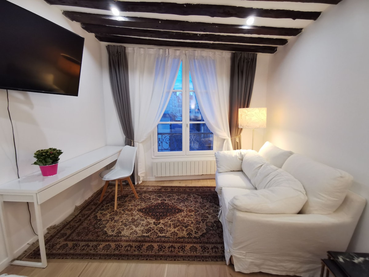 Charming Apartment in Hyper Center, 3 mins to RER