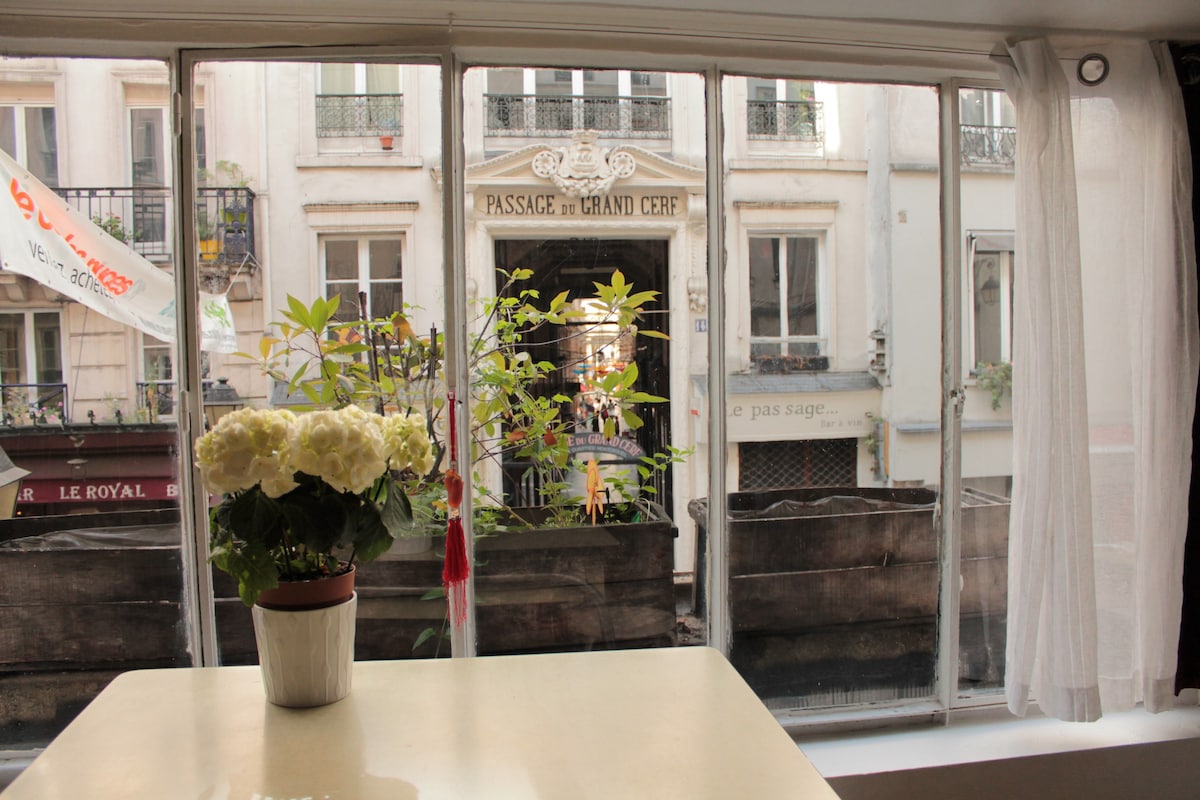 舒适的公寓，位于巴黎市中心！