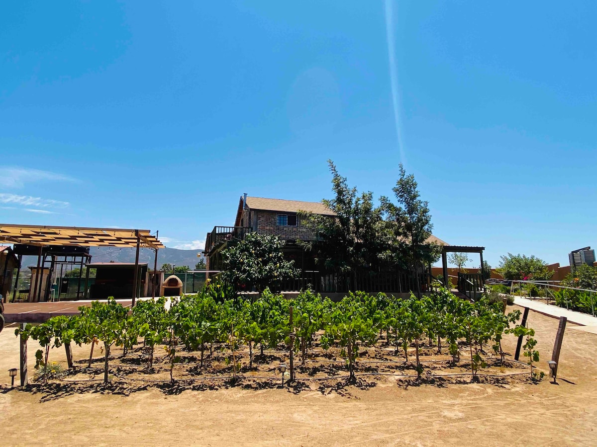 Valle de Guadalupe (Wine Rout) House