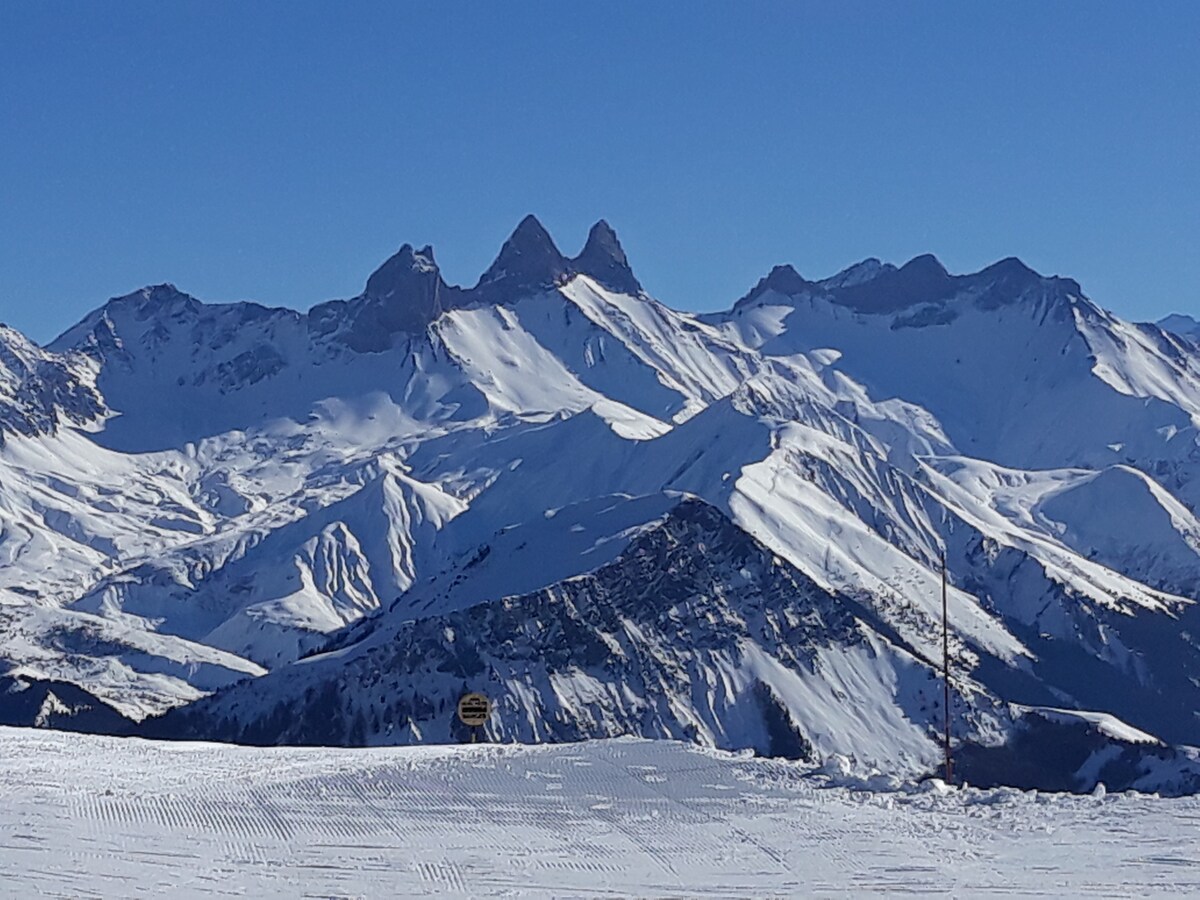 Logement en chalet de montagne