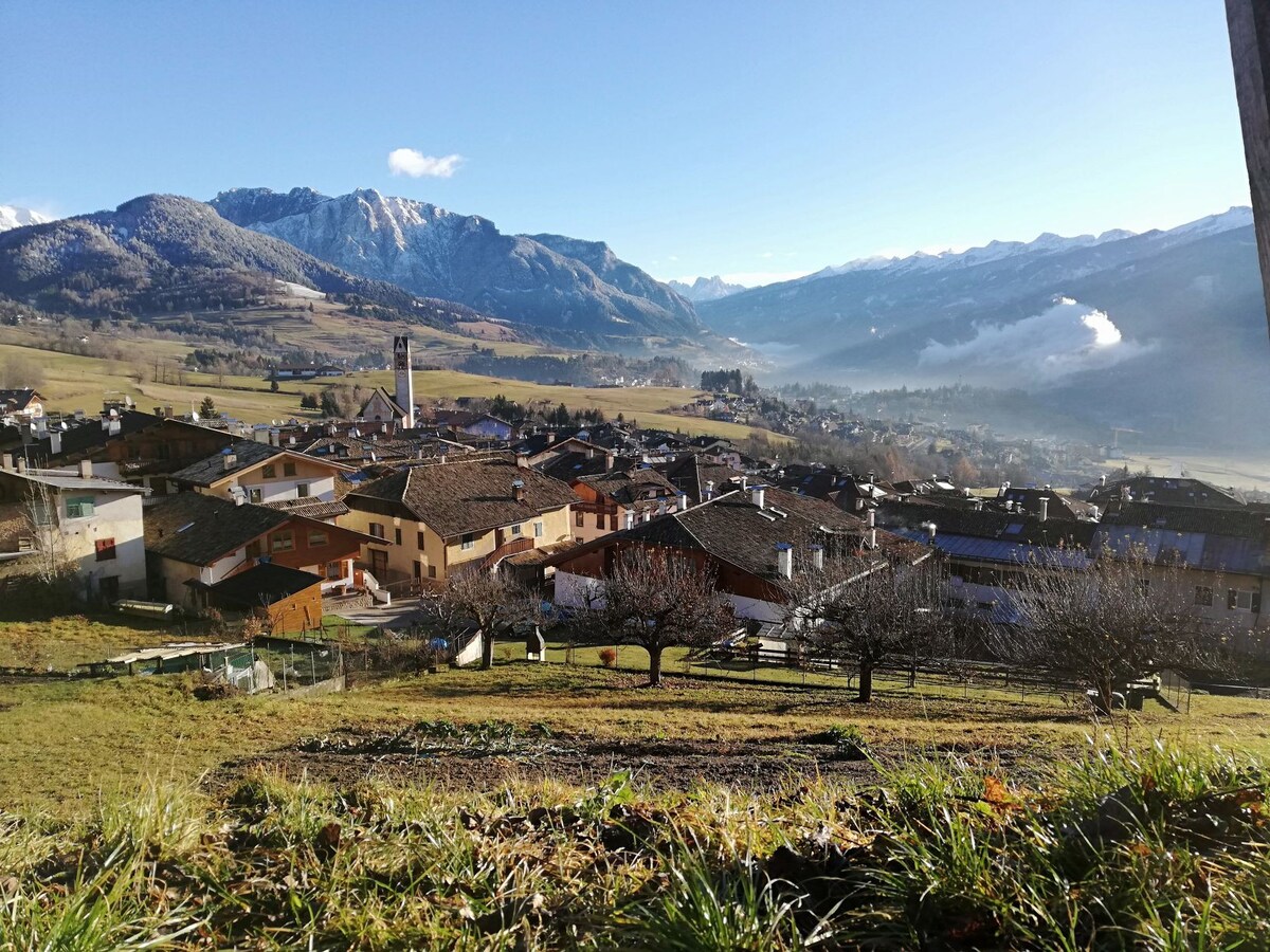 Val di Fiemme - Carano套房