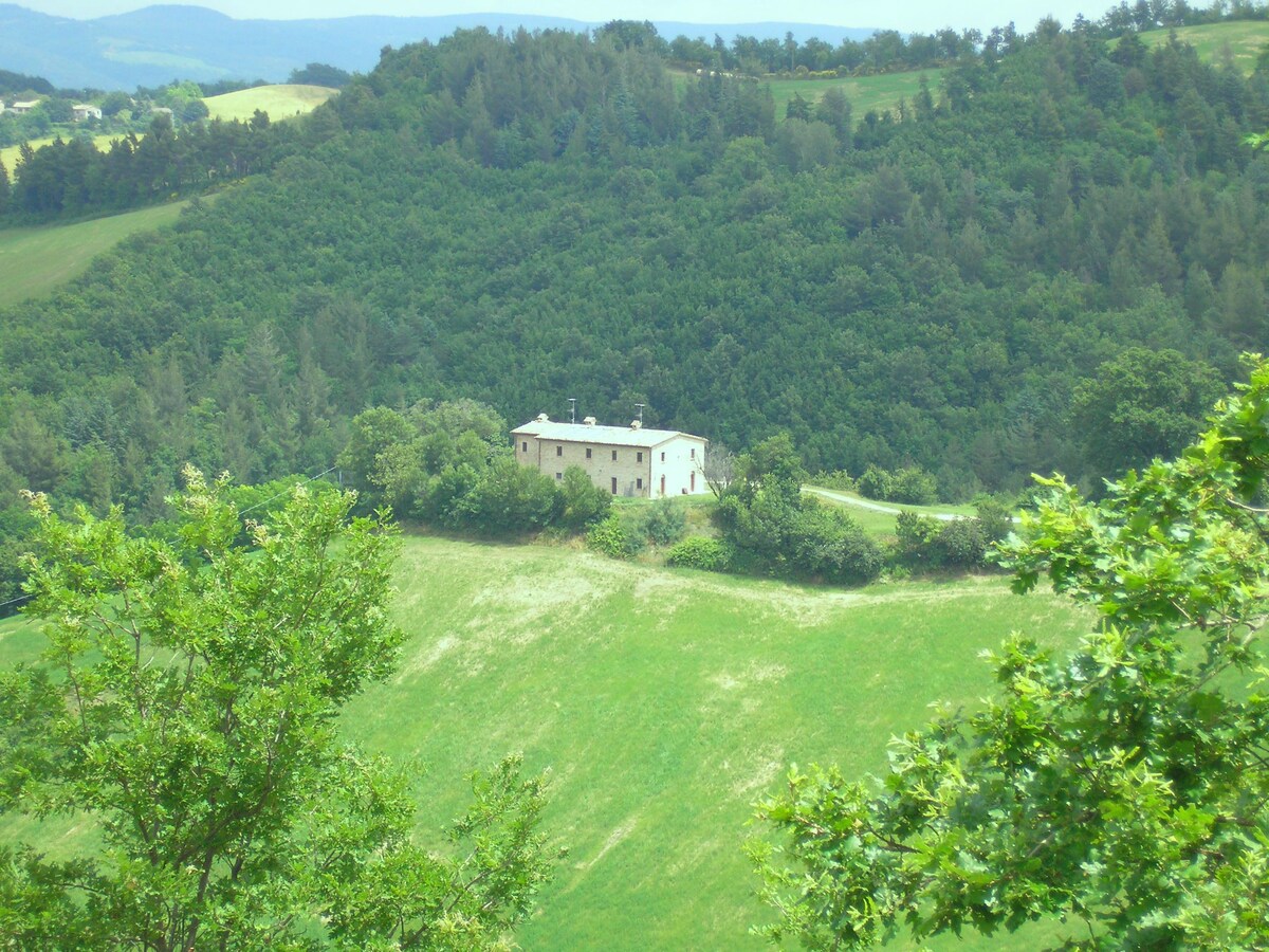 Agriturismo Cà Ferro -绿地中的露台-