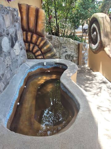 希利特拉 (Xilitla)的民宿