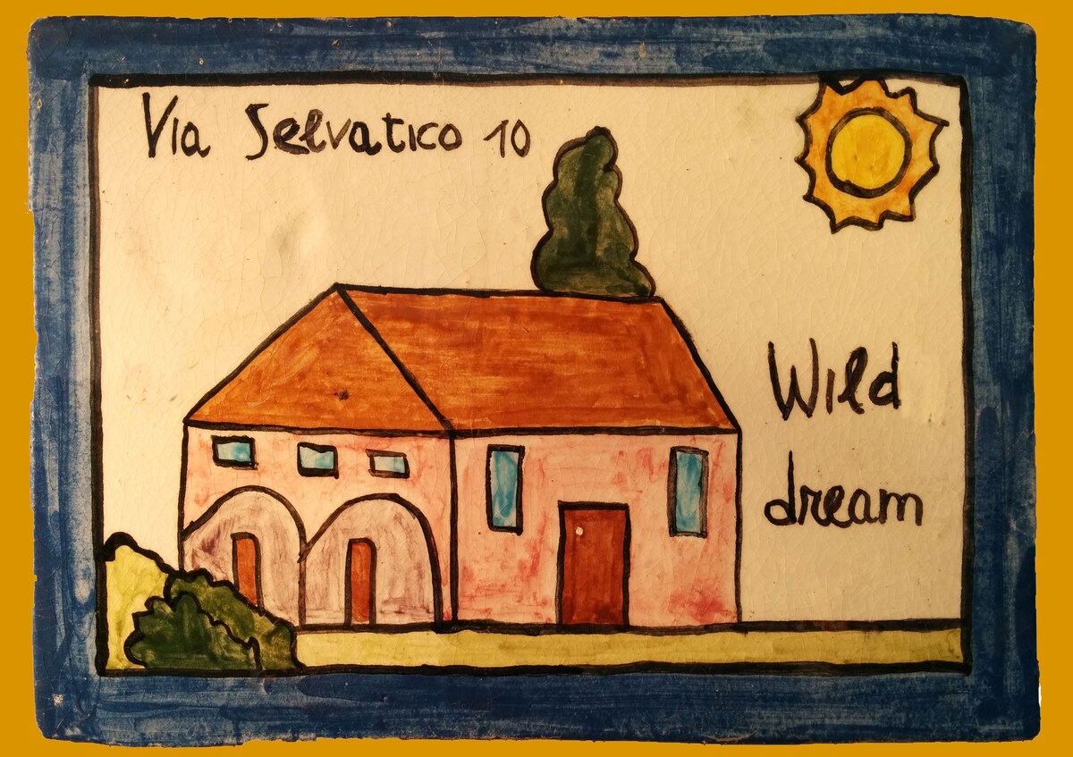 威尼斯乡村WildDream Live