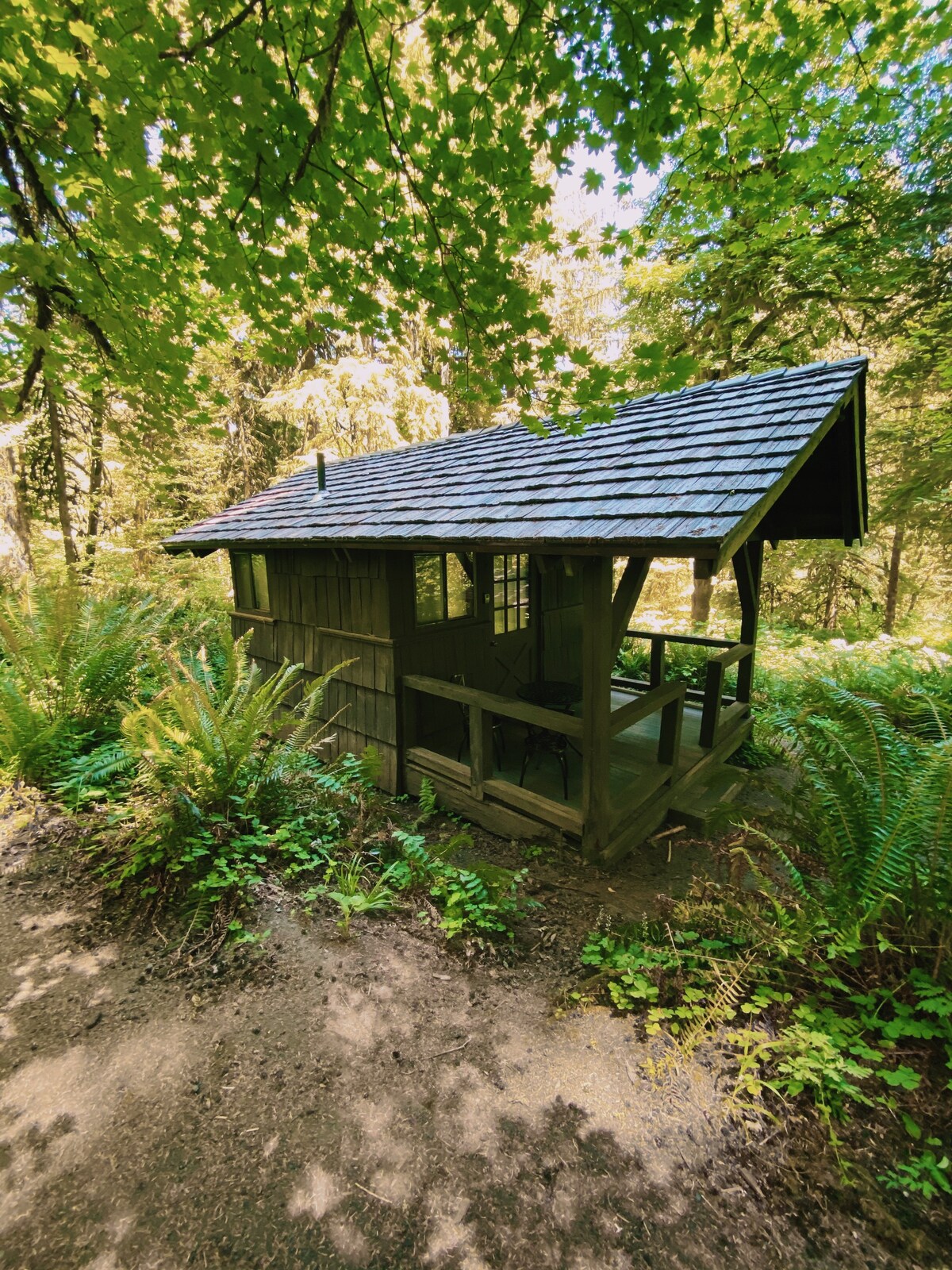 Tiny Cabin G w 1双人床|银瀑布州立公园