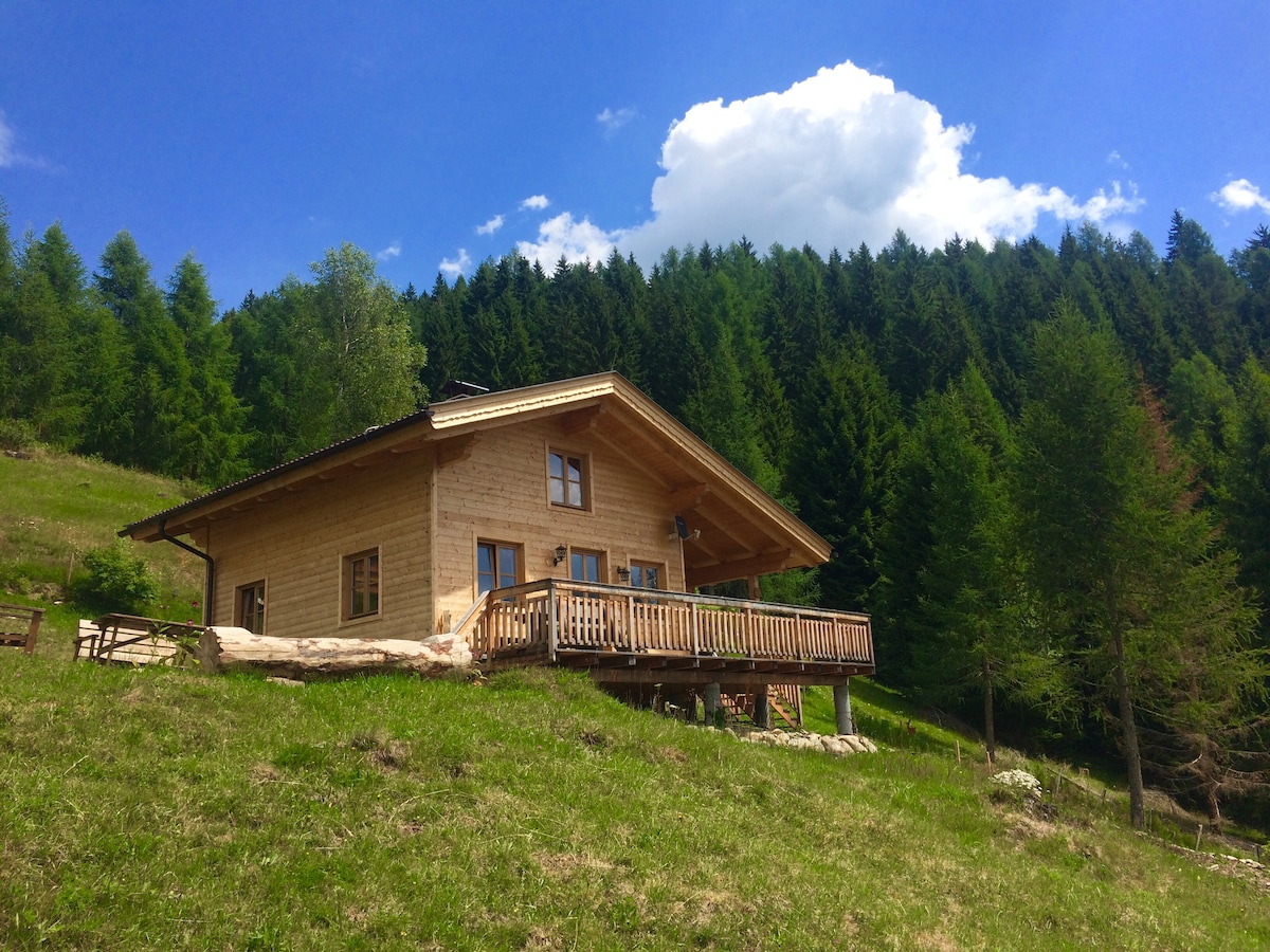 Südhang Hohe Tauern的美妙小屋，配有桑拿