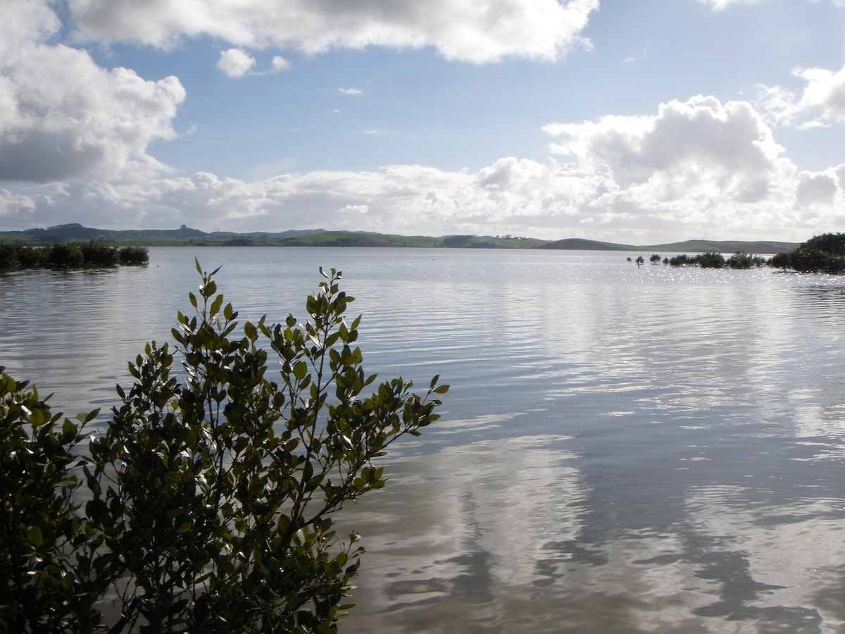 威尔斯福德附近的Kaipara Harbour Historic Farmstay