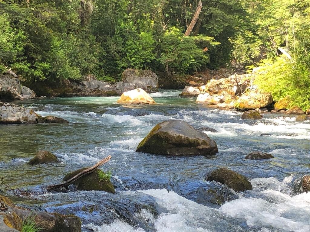 Cabaña Bosque Rio, Pucon