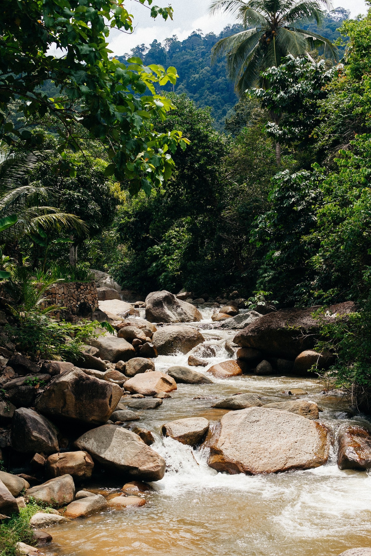 Puncak Rimba Villa East Lata