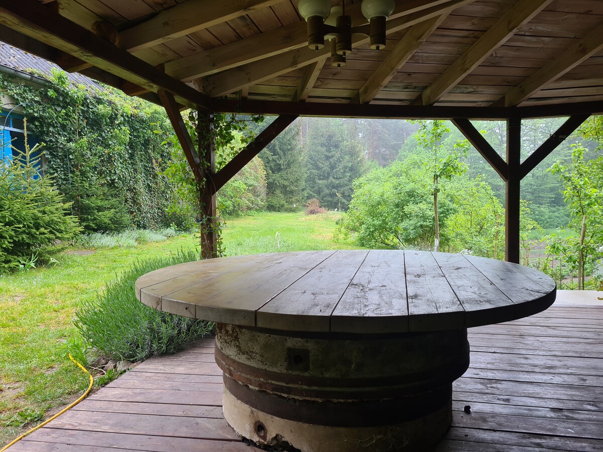 Stary Młyn w lesie, Alte Mühle im Wald, Old mill