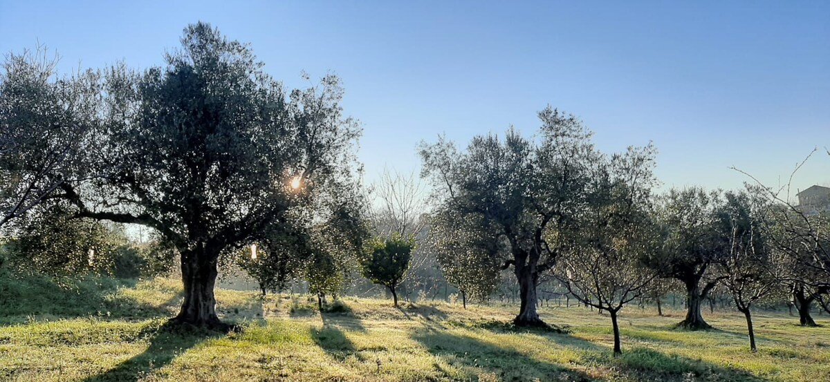 Appartamento Biancospino, Agriturismo I Ciliegi