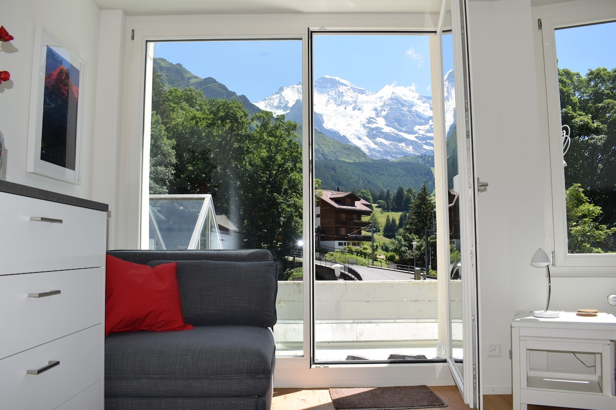 Eigerpeak公寓，阳台和Jungfrau景观