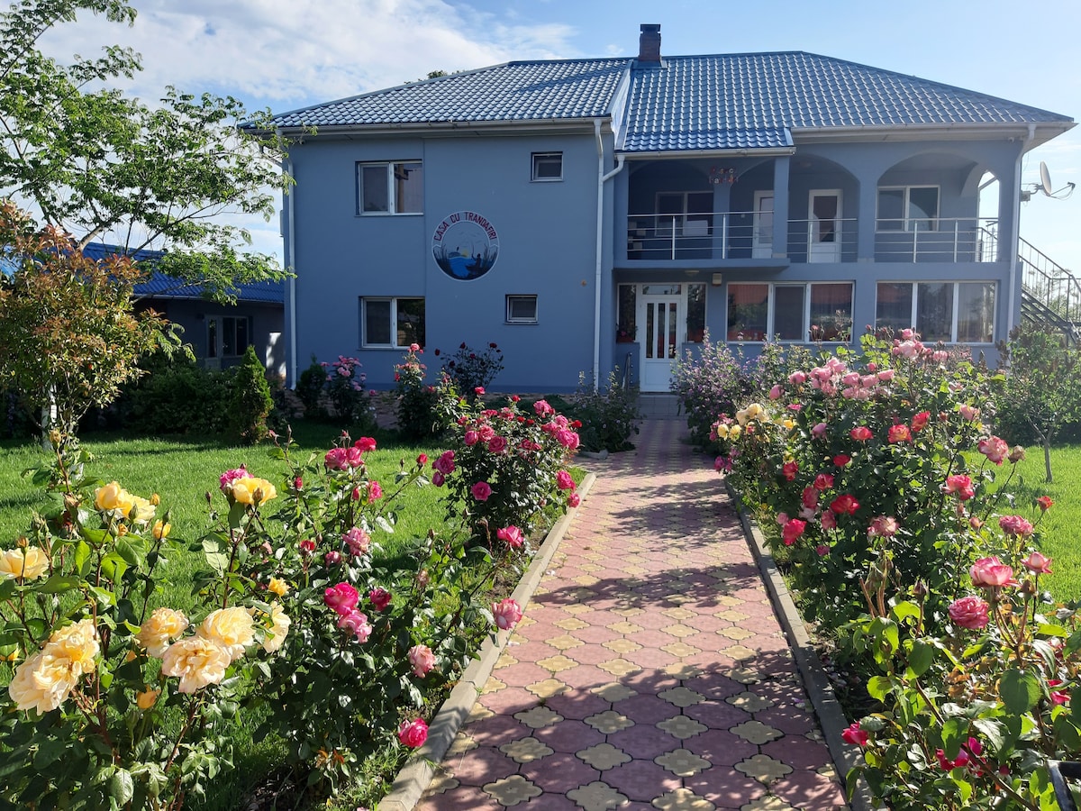 Casa cu trandafiri Murighiol IIII