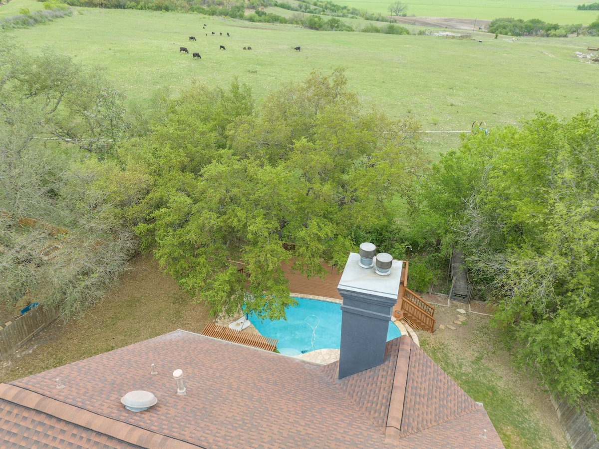 La Vaca Viva | Pool Side Oasis Near San Antonio