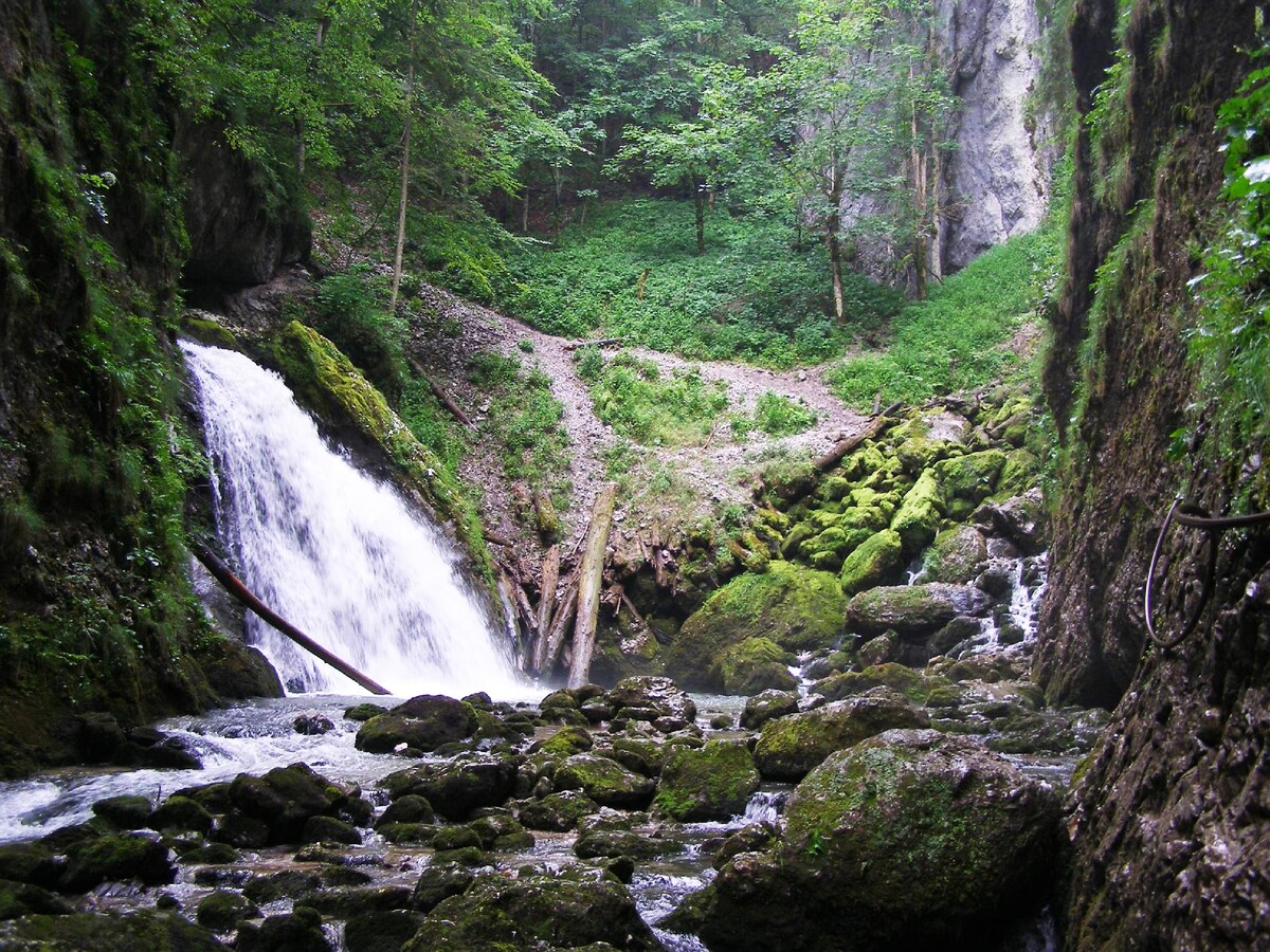 Carpathian Mountain houses 4 persons 4A+Sauna&Pool