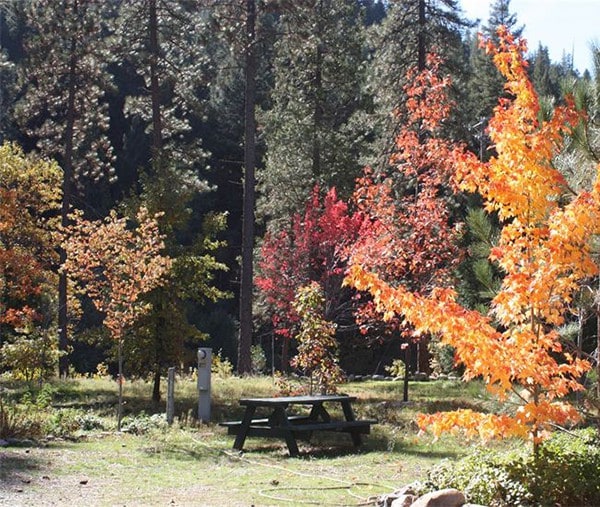 羽毛河温泉（ Feather River Hot Springs ）五个房车站点中的4个