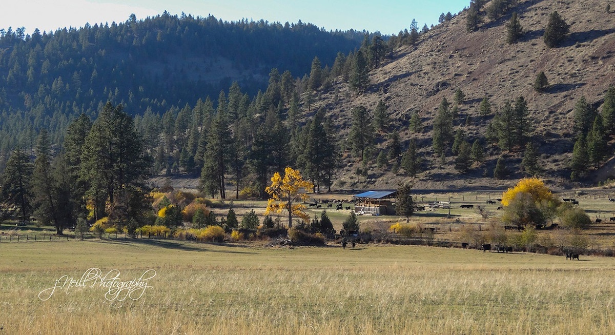 Cozy ranch bunkhouse in Ochocos at Wine Down Ranch