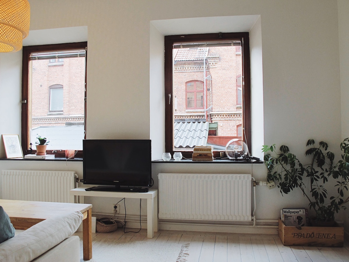 哥德堡市中心的舒适单间公寓