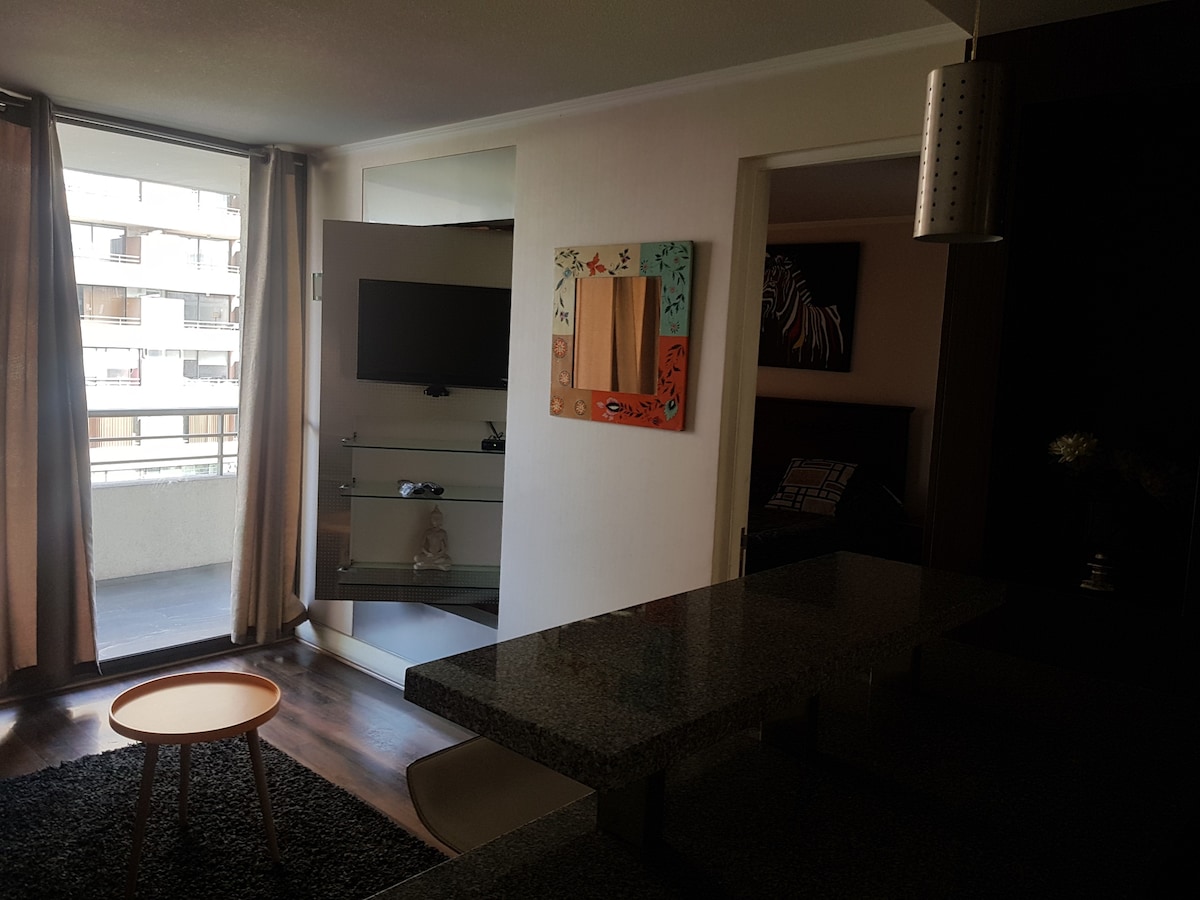 拉斯孔德斯（ Las Condes ）整套现代出租公寓