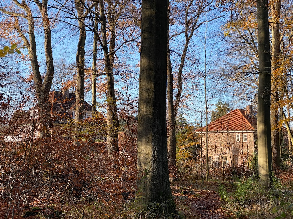 Alster和Wohldorfer Wald附近公园里的梦幻之家