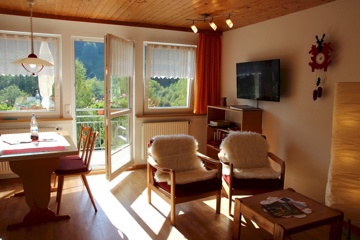Wanderlust Todtnau公寓-传统黑森林家庭公寓，带私人阳台和山景