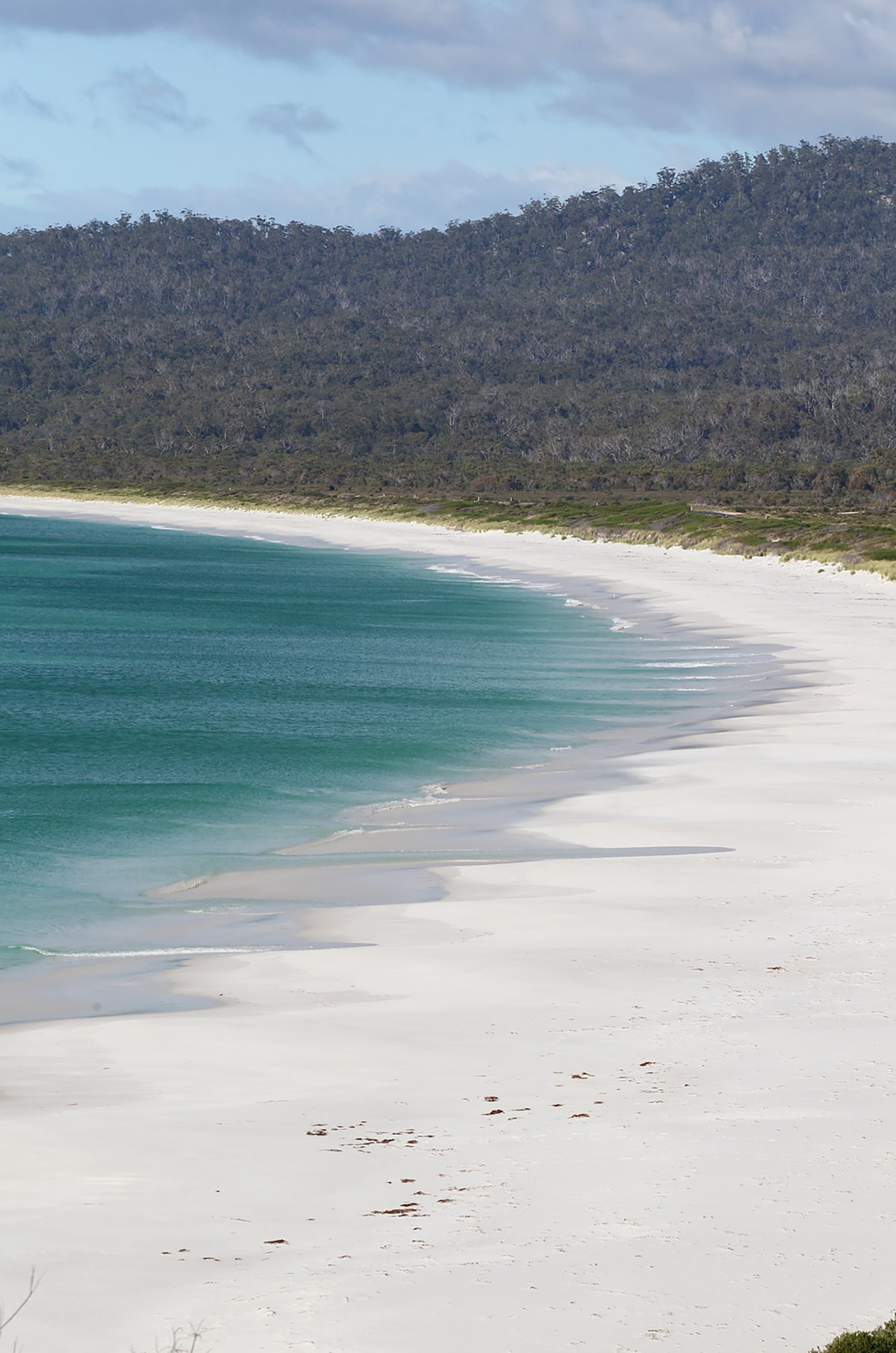 火焰湾的伊甸园（ Eden at Bay of Fires ）。