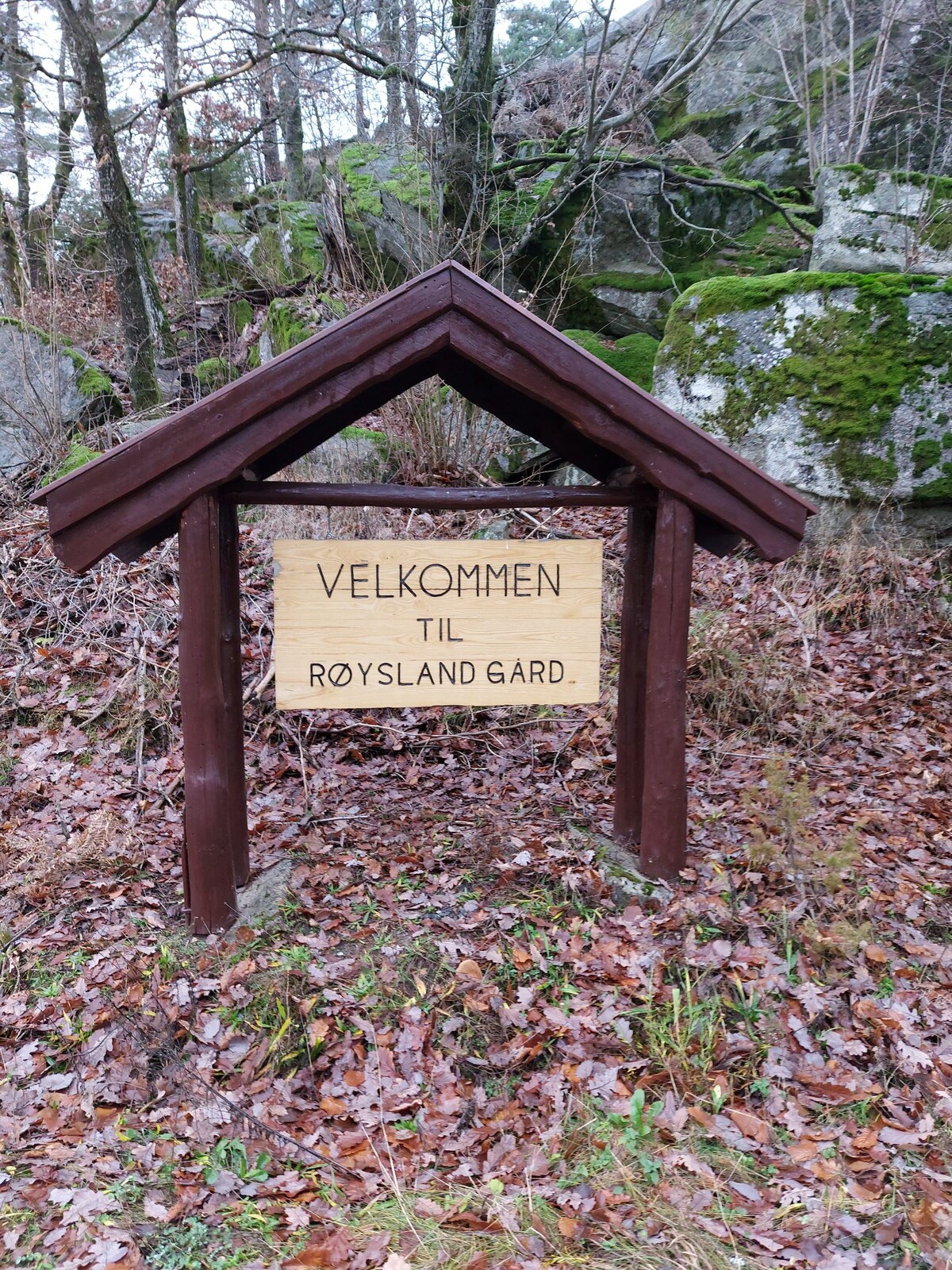 Hytte i idylliske omgivelser på islandshestgård