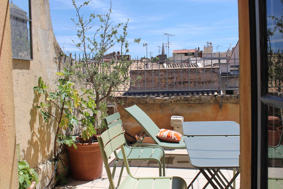 La terrasse du Forum -阿尔勒历史中心