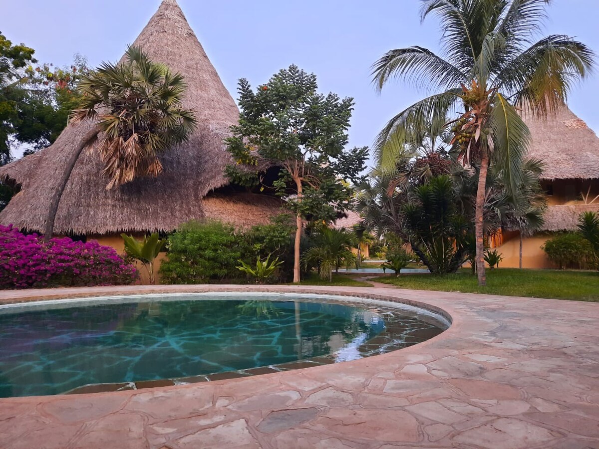 带泳池的快乐棕榈海滩小屋。