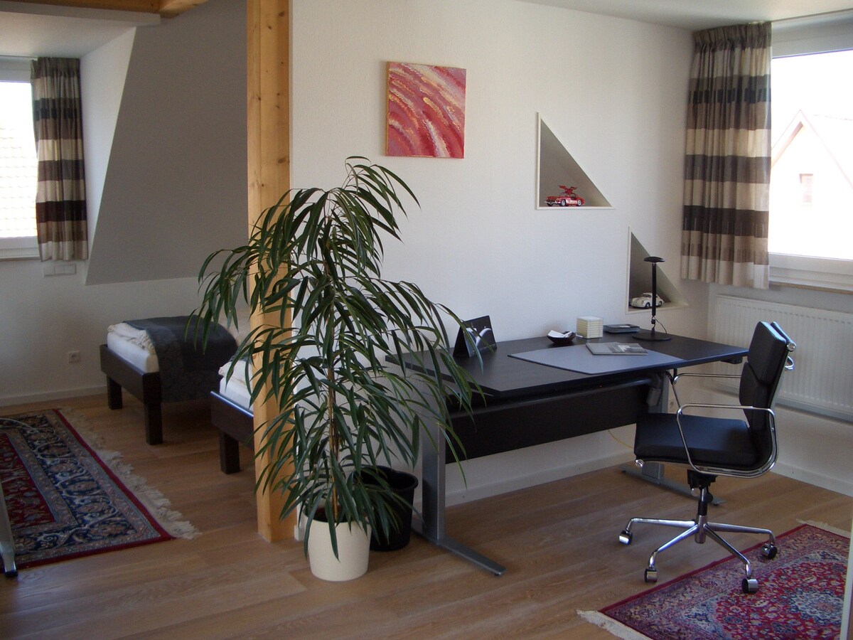 Modernes单间公寓-位于辛德尔芬根（ Sindelfingen ）的公寓