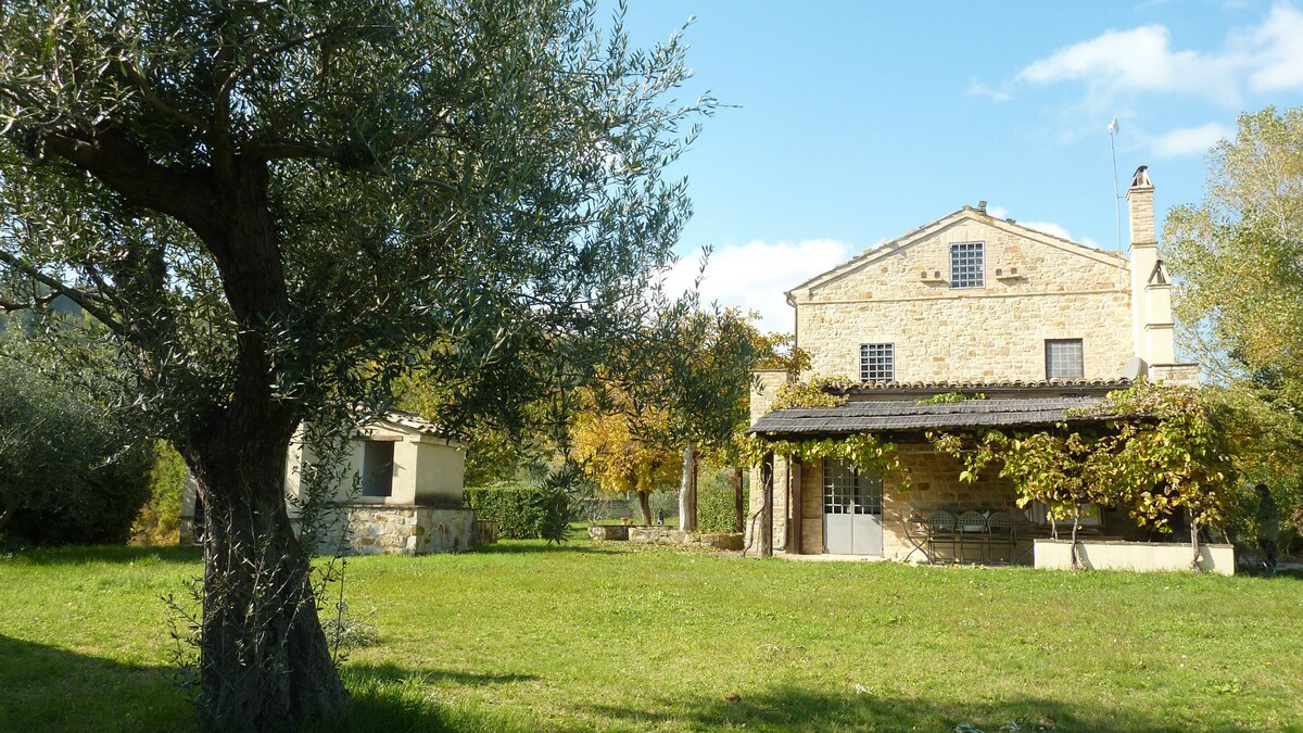 Casale Oliva; landscape of olive and cherry trees