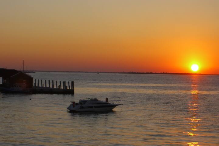 火烧岛(Fire Island)的民宿