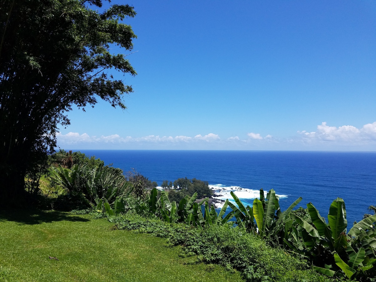 Hamakua Sea Cliff住宿加早餐旅馆，海滨悬崖住宅